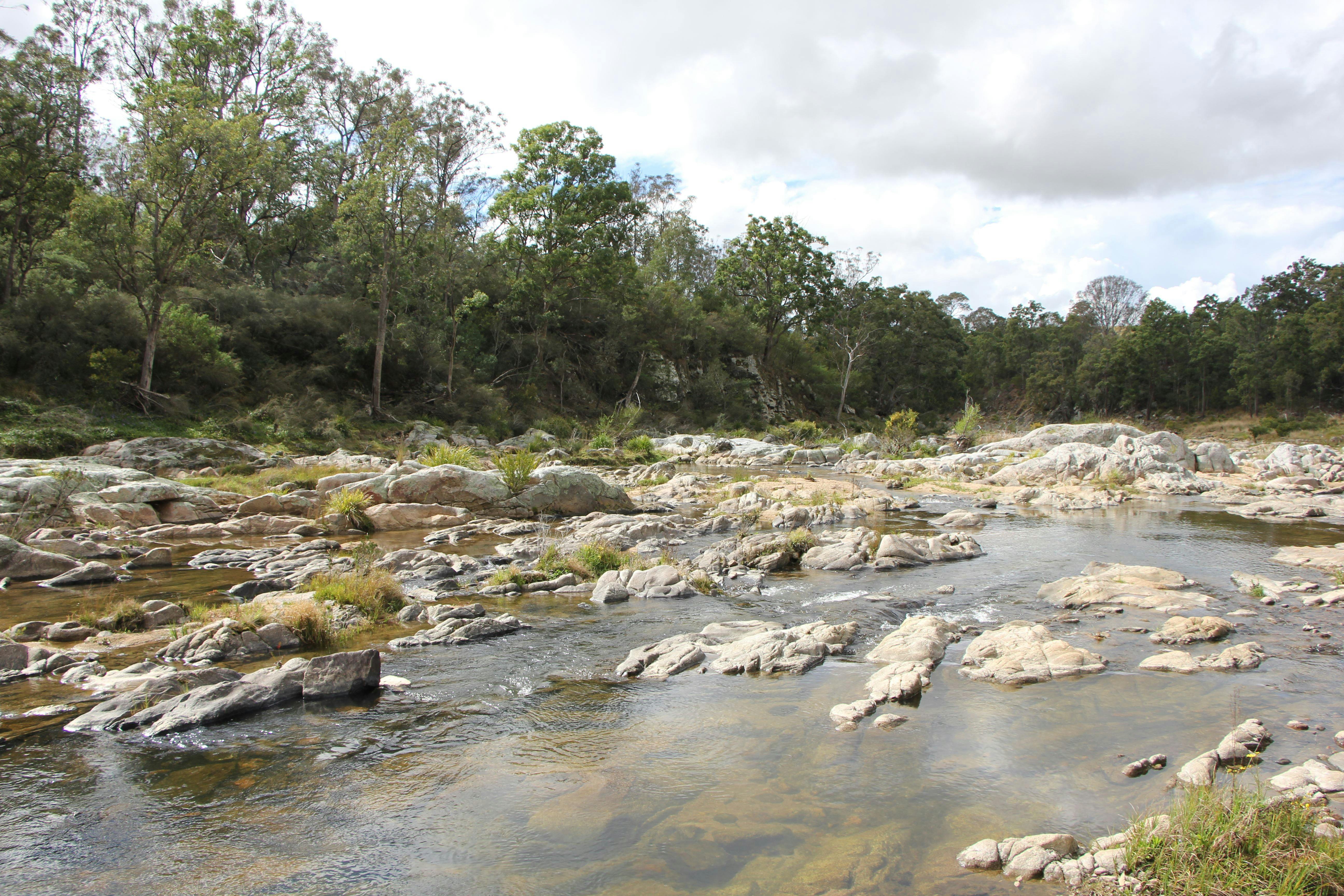 Bumblebrook Farm Motel