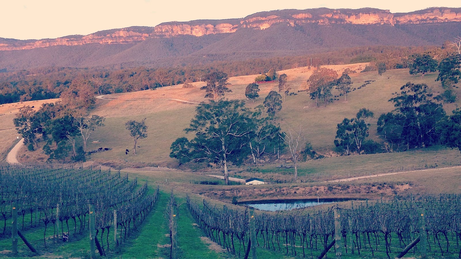 Dryridge Estate