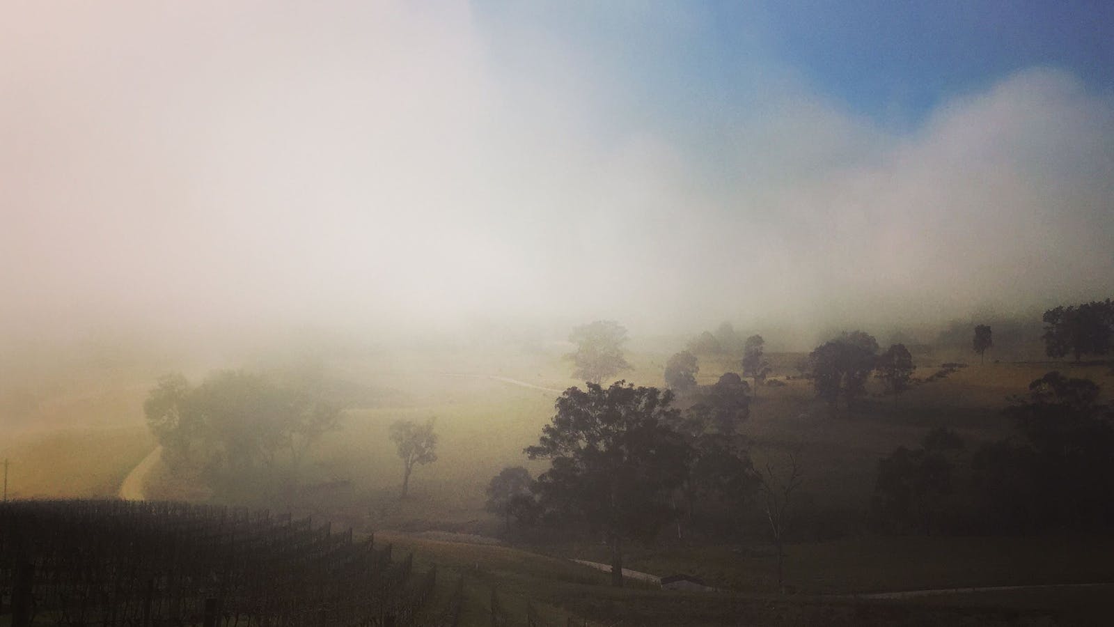 Dryridge Estate