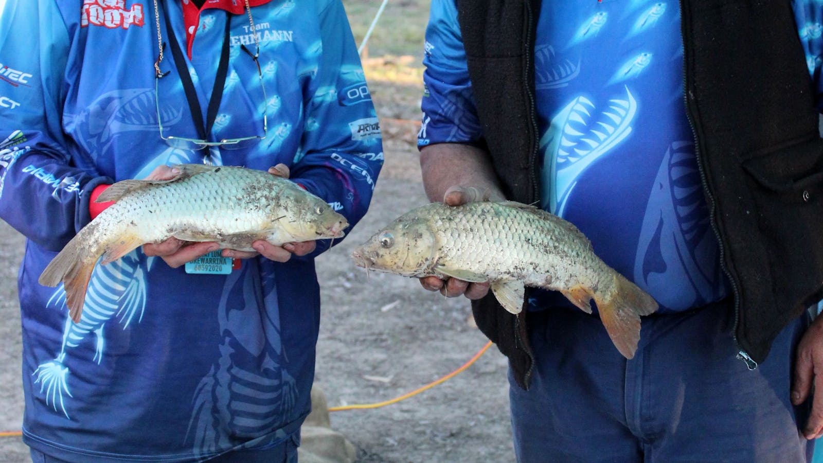 Image for Bre Big Fish