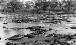 Brewarrina Aboriginal Fish Traps Guided Tour