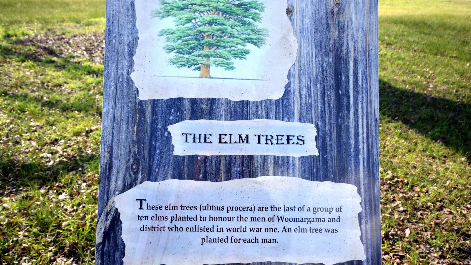 Woomargama Heritage Signs