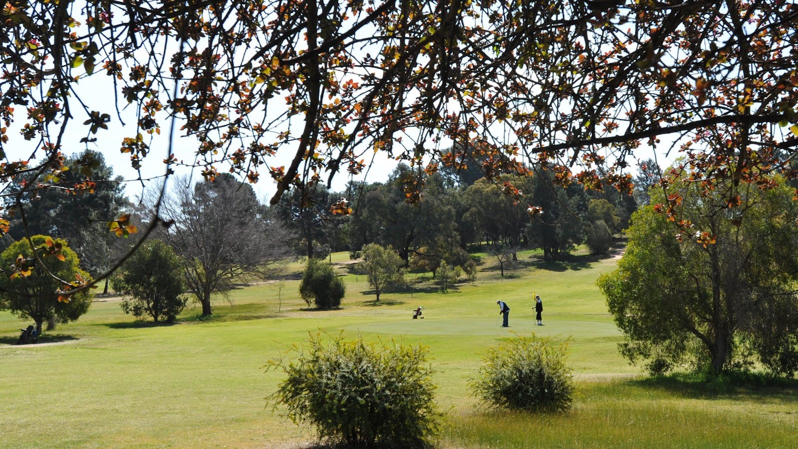 Narrandera Golf Course