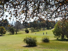 Narrandera Golf Course