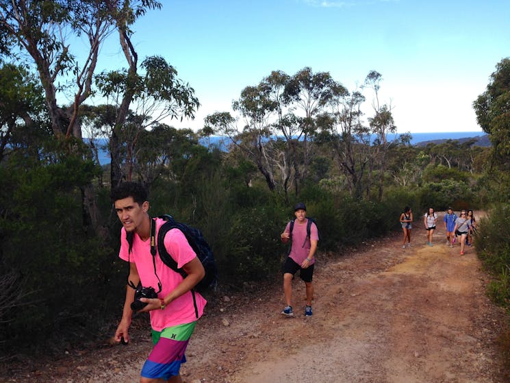 Bush walking Sydney to Ku-ring-gai wildlife Tour