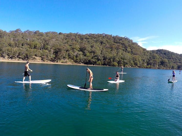 Stand up Paddle Boarding  - EcoTreasures