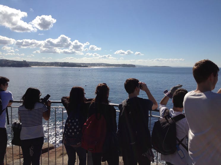 Manly, North Head Coastal Whale Walk