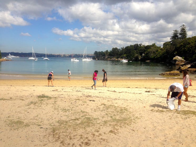 Manly, North Head Coastal Whale Walk