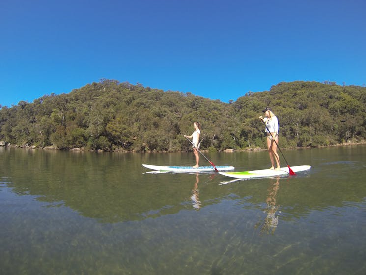 Basin Campground Stand Up Paddle Board Safari