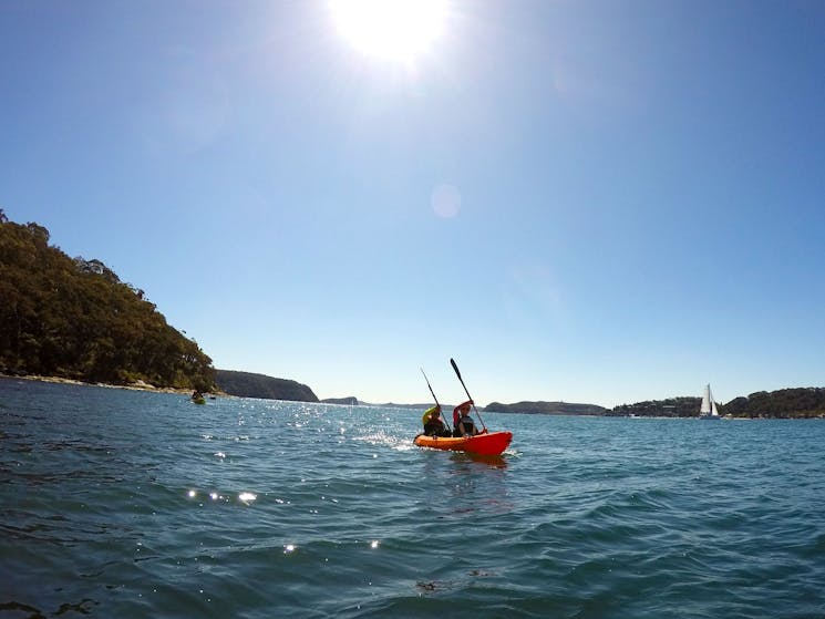 Pittwater Kayak Tour EcoTreasures