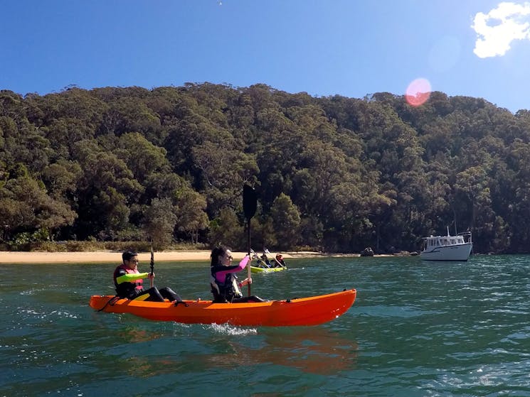 Pittwater Kayak Tour EcoTreasures