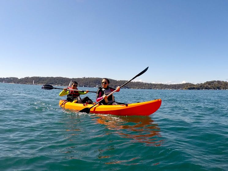 Pittwater Kayak Tour EcoTreasures