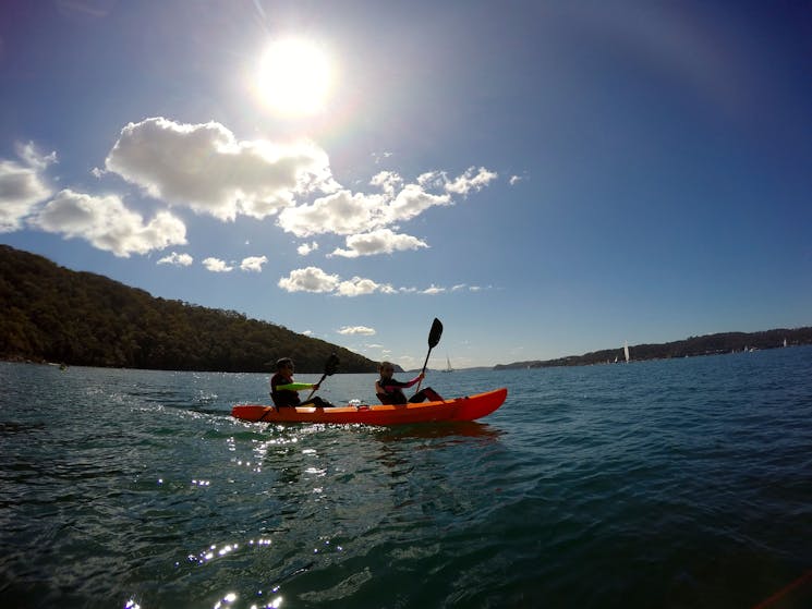 Pittwater Kayak Tour EcoTreasures