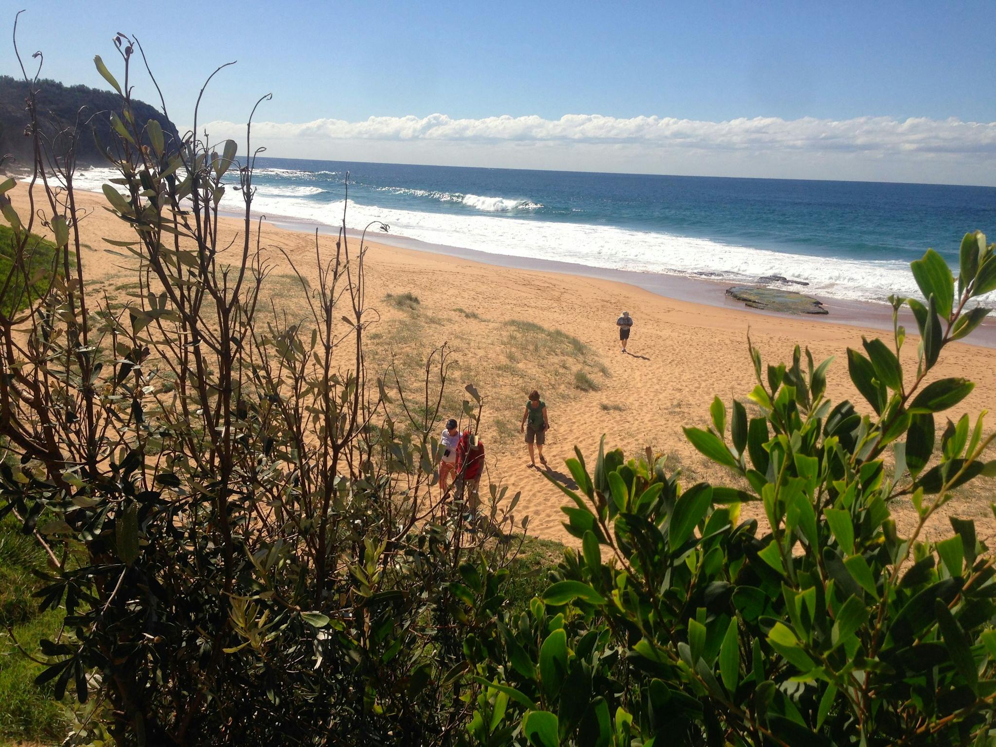 Sydney Hidden Treasures Tour