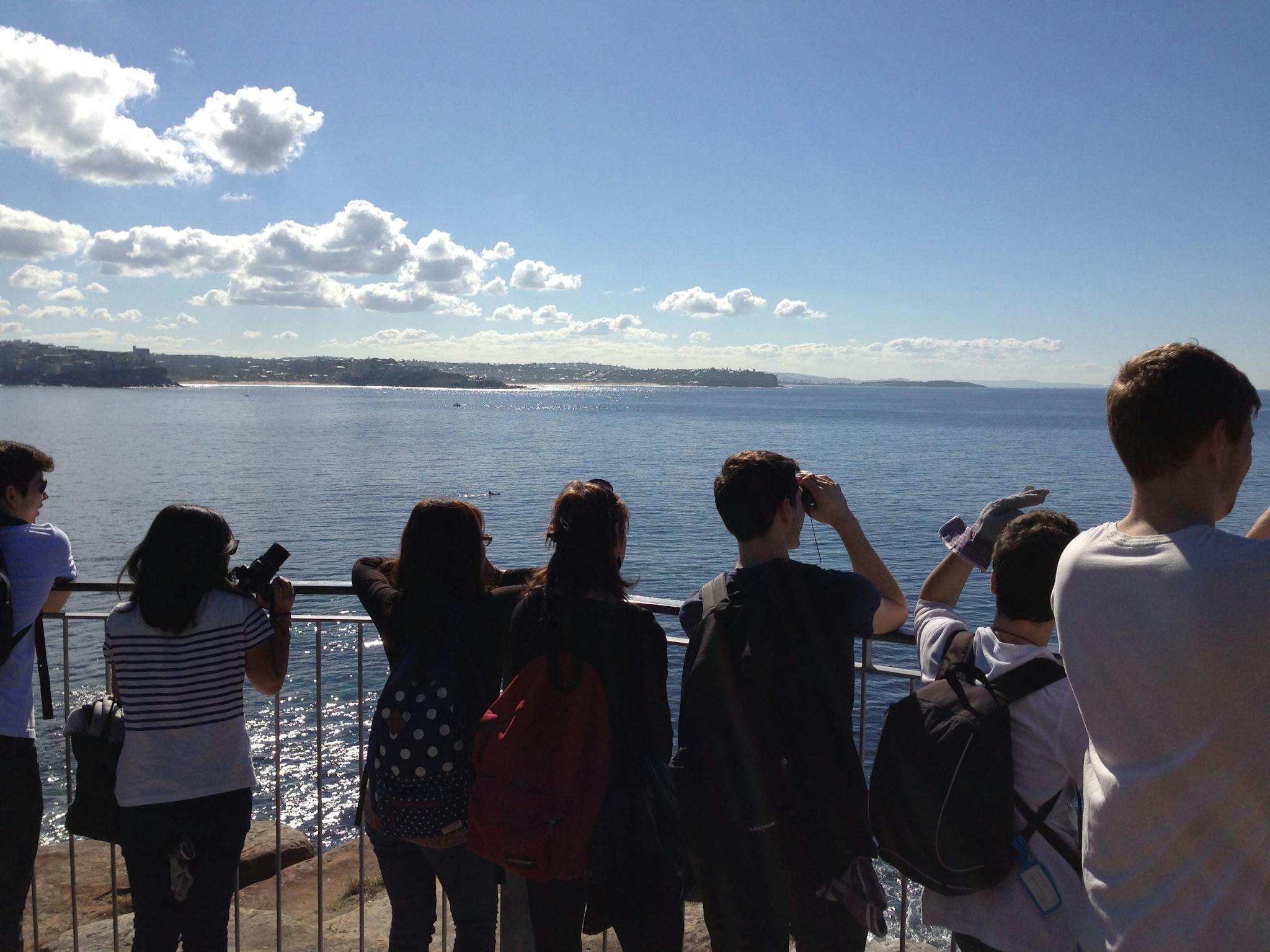 Manly Coastal Whale Walk EcoTreasures