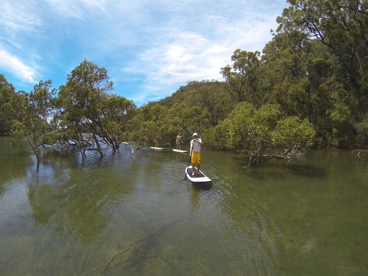 Basin Campground Stand Up Paddle Board Safari