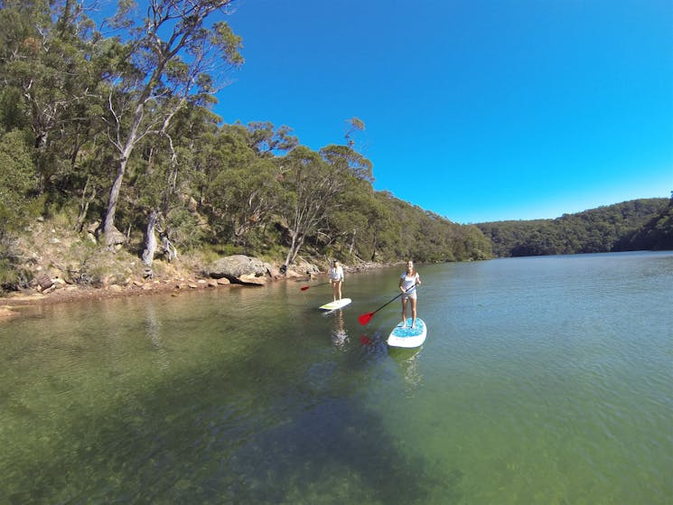 Basin Stand Up Paddle Boarding (SUP) Safari