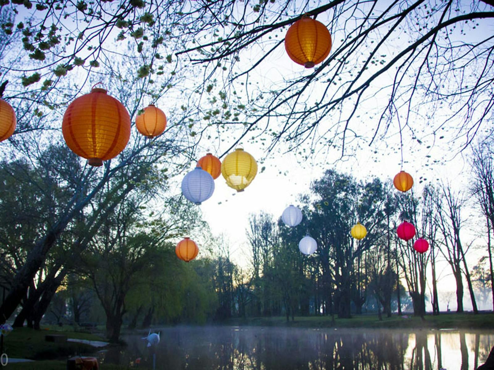 Image for Lanterns on the Lagoon