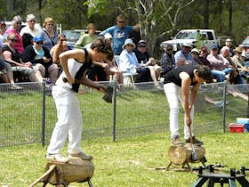 Wandandian Community Expo and Annual Woodchop