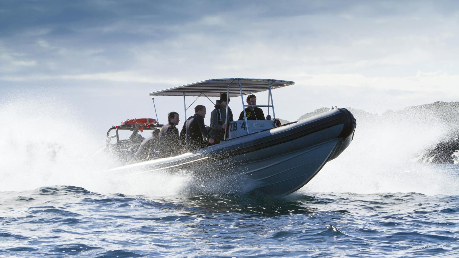 Underwater Safaris