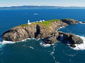 South Solitary Island Exclusive Helicopter Tour