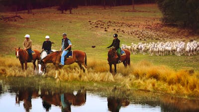 Burnelee Excursions on Horseback