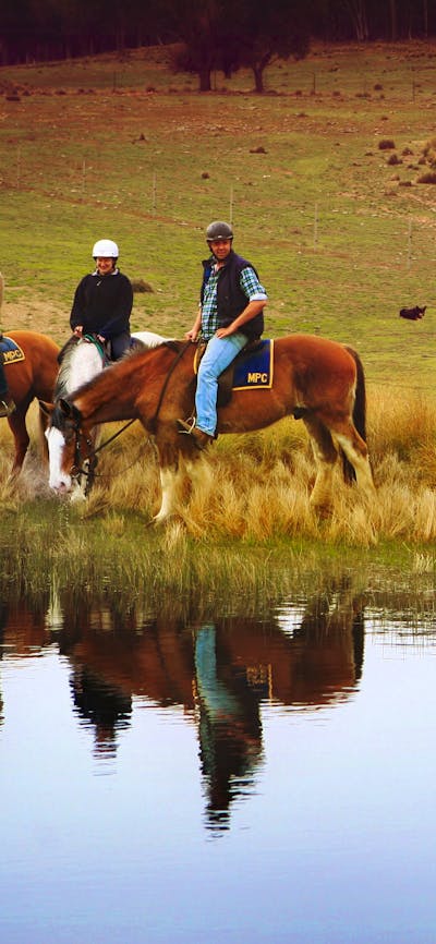Burnelee Excursions on Horseback