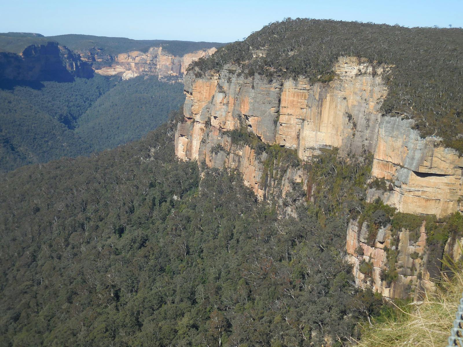 Blue Mountains sandstone escarpement