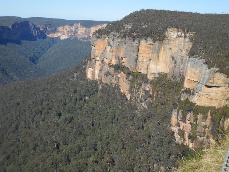 Blue Mountains sandstone escarpement