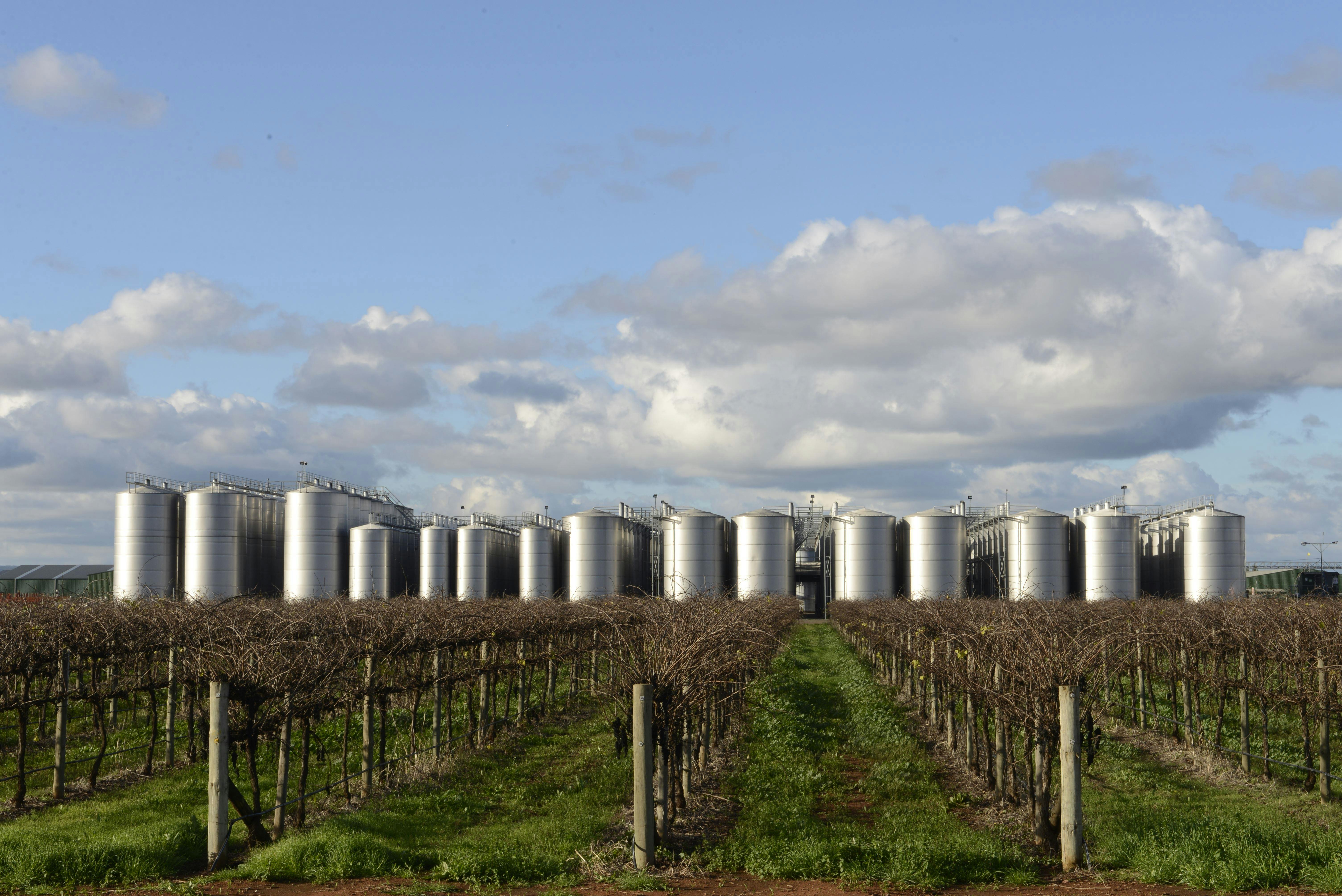 Vineyard and Tank Farm.  Winery. This area produces 75 percent of NSW wines.