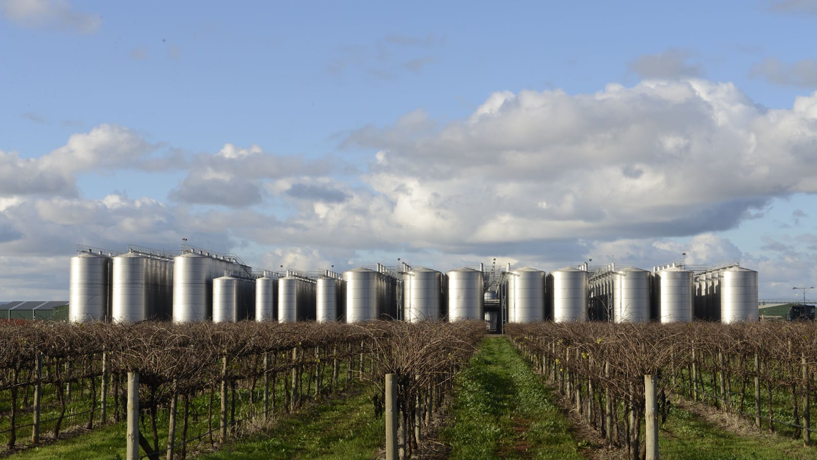 Griffith Tours