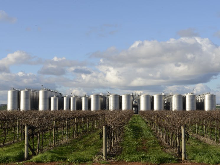 Vineyard and Tank Farm.  Winery. This area produces 75 percent of NSW wines.