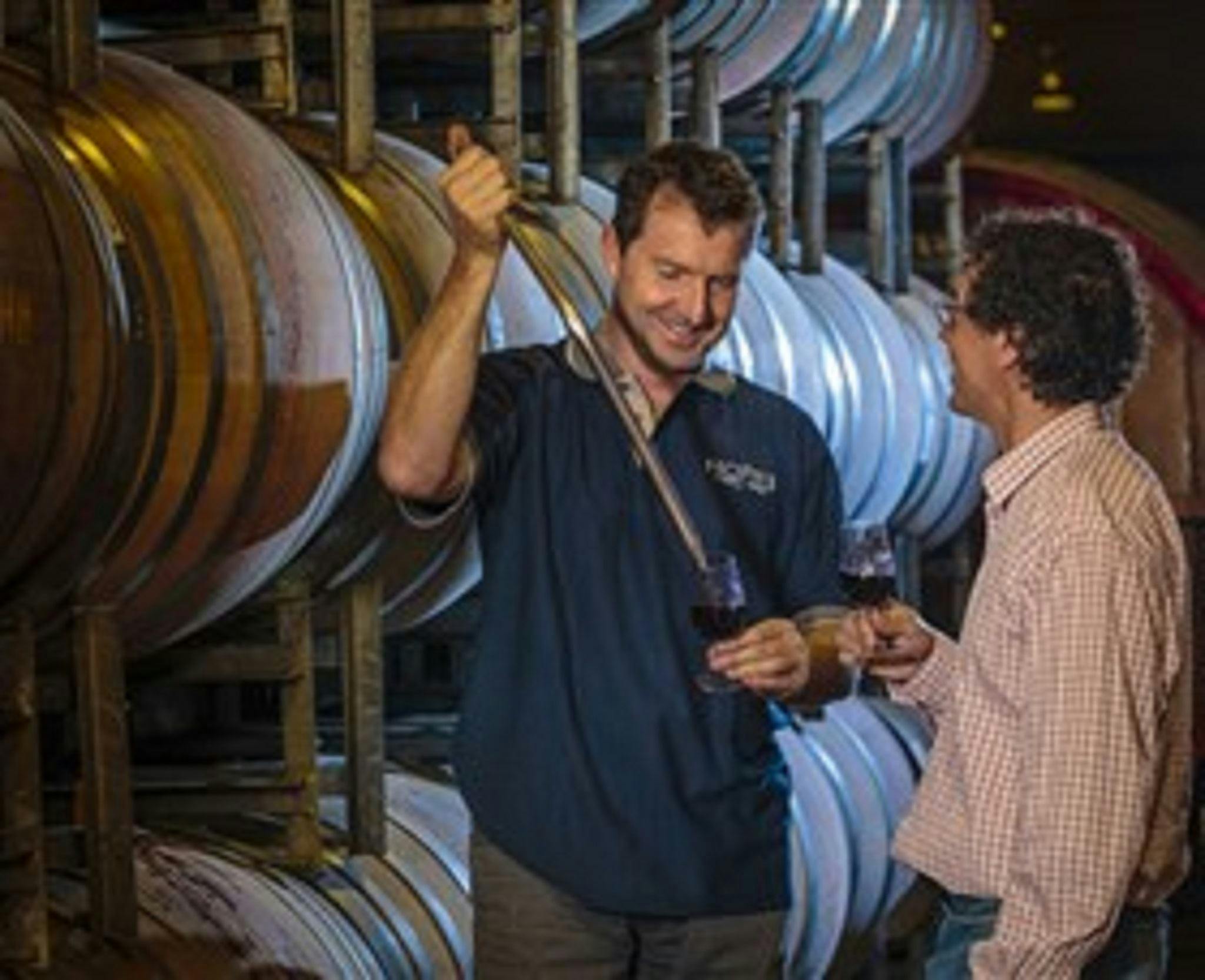 All Around The Vines