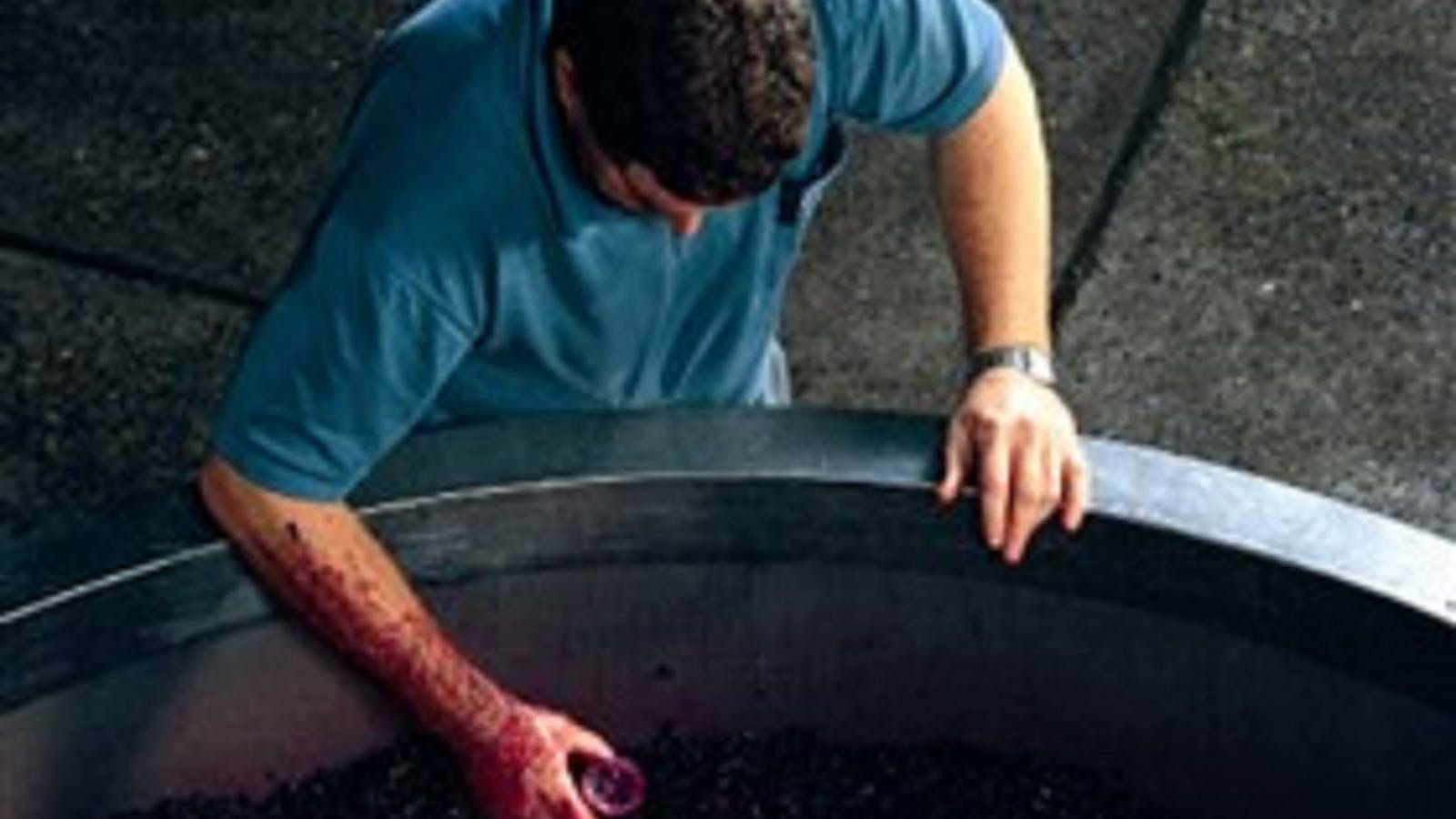 Calais Estate Wines