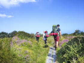 Wayfarer Expeditions