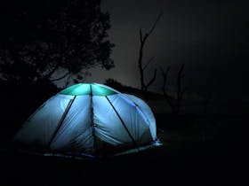 Wayfarer Expeditions