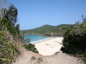 Unwind and Relax at Forster