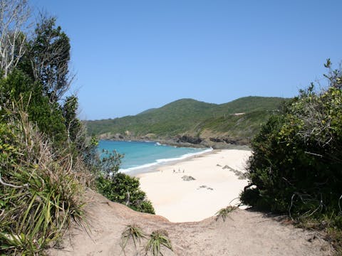 Forster에서 긴장을 풀고 휴식을 취하십시오.