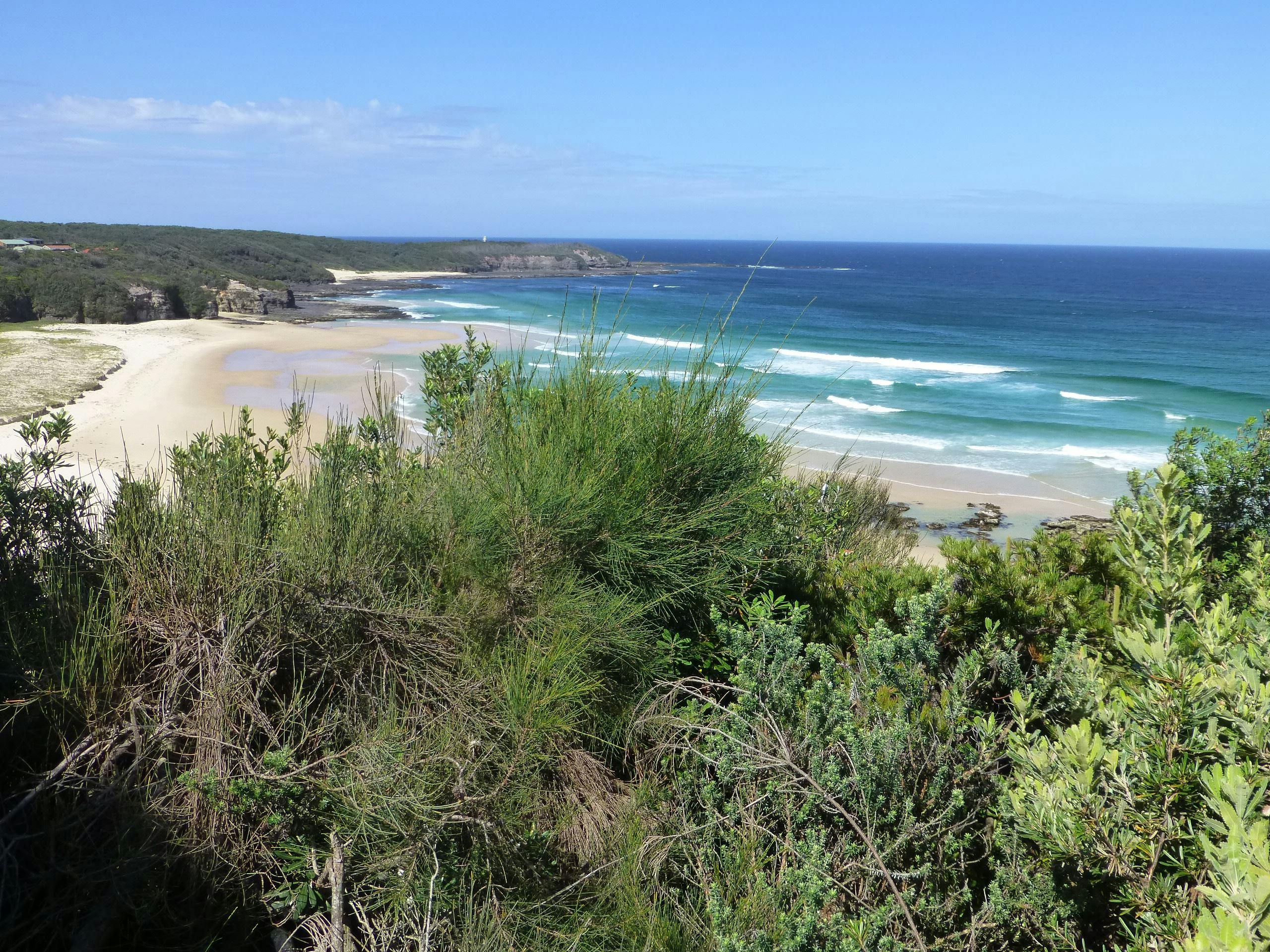South Pacific Heathland Reserve