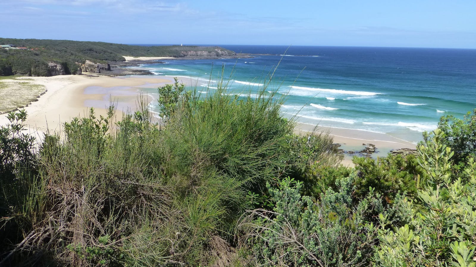 South Pacific Heathland Reserve