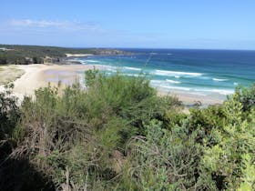 South Pacific Heathland Reserve