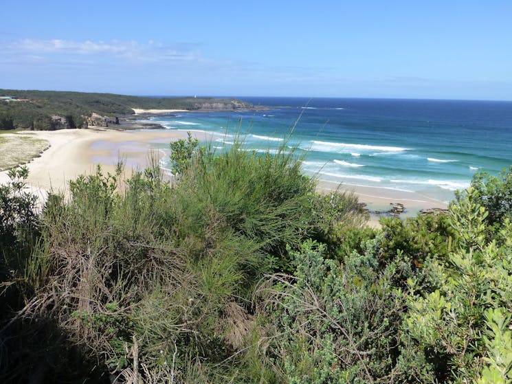 South Pacific Heathland Reserve