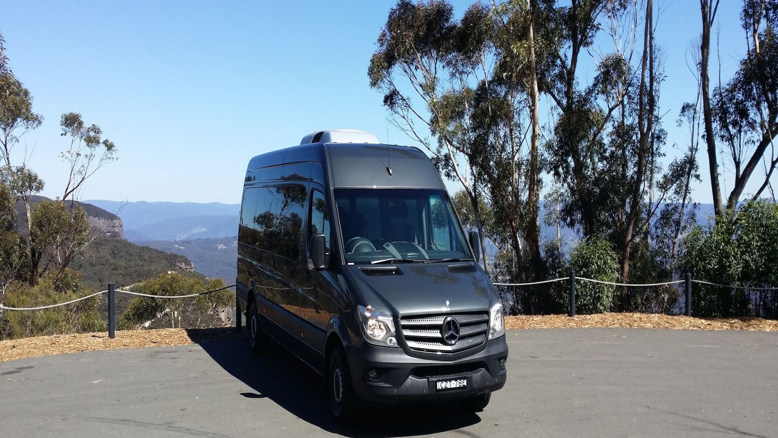 Dingo Travel