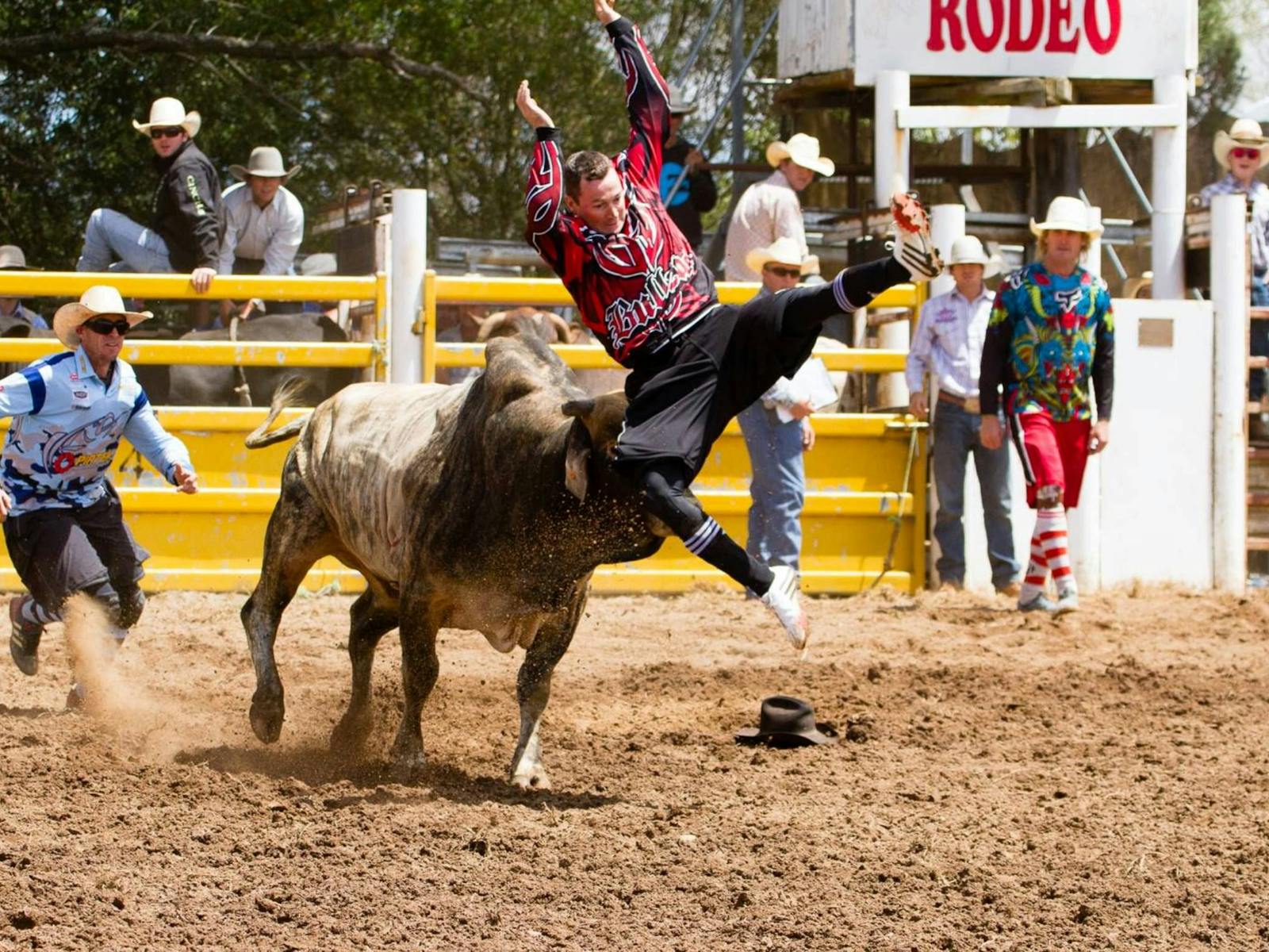 Image for Taralga Australia Day Rodeo