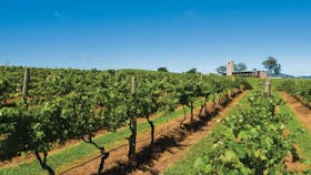 Bimbadgen Winery