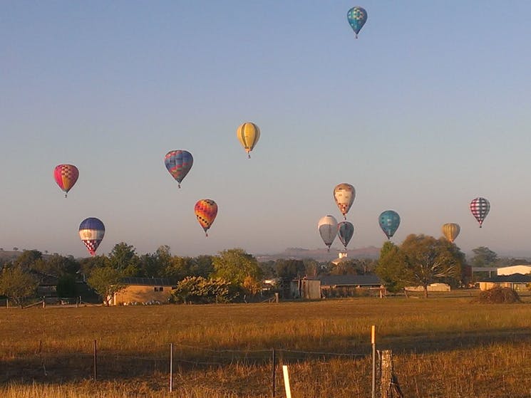 Canowindra Balloon Challenge