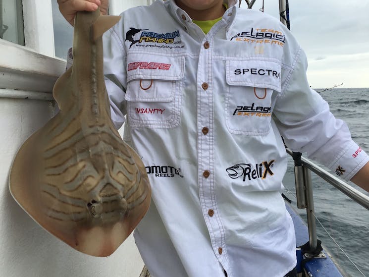 Deep-sea fishing charter in Sydney