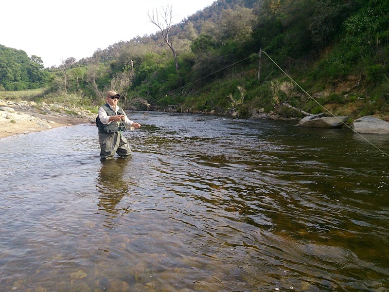 Fly Fishing Tumut NSW Holidays & Things to Do