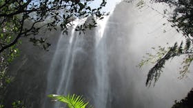 Minyon Falls on a Rainforest Walk