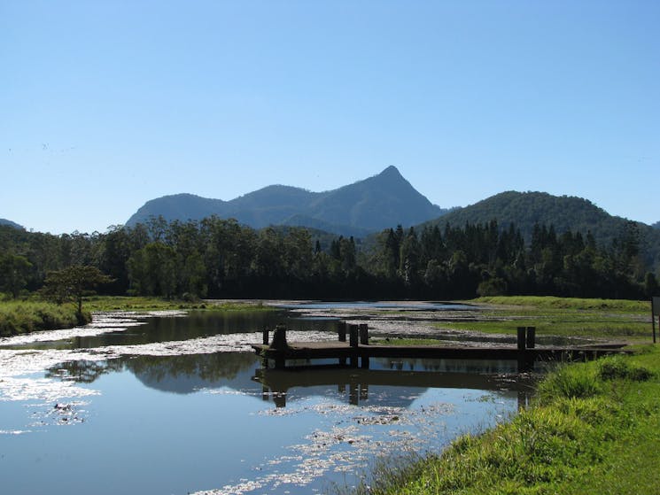 View of Mount Warning from Crams Farm